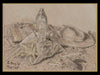 A pastel drawing of a seaside still life with hat, towel, water bottle, chips and shells on sand