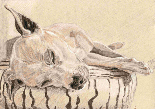 a drawing of a dog, the featured image for in defence of divas and early christmas preparations