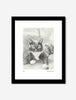 Framed print of Edith the Cat featured image for How to Buy Castle Sefton Press Art Products
