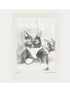 Edith the Cat Hardback notebooks