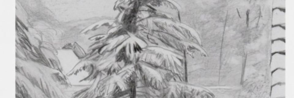 Close up of a pencil drawing of a tree in the snow