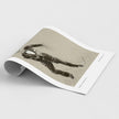 A rolled-out art print or poster showing a sketch of a figure in motion, photographed on a clean light gray background. The print has a white border and a sepia-toned illustration with dark linework.