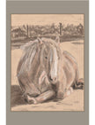 Goldie the Palomino greetings card