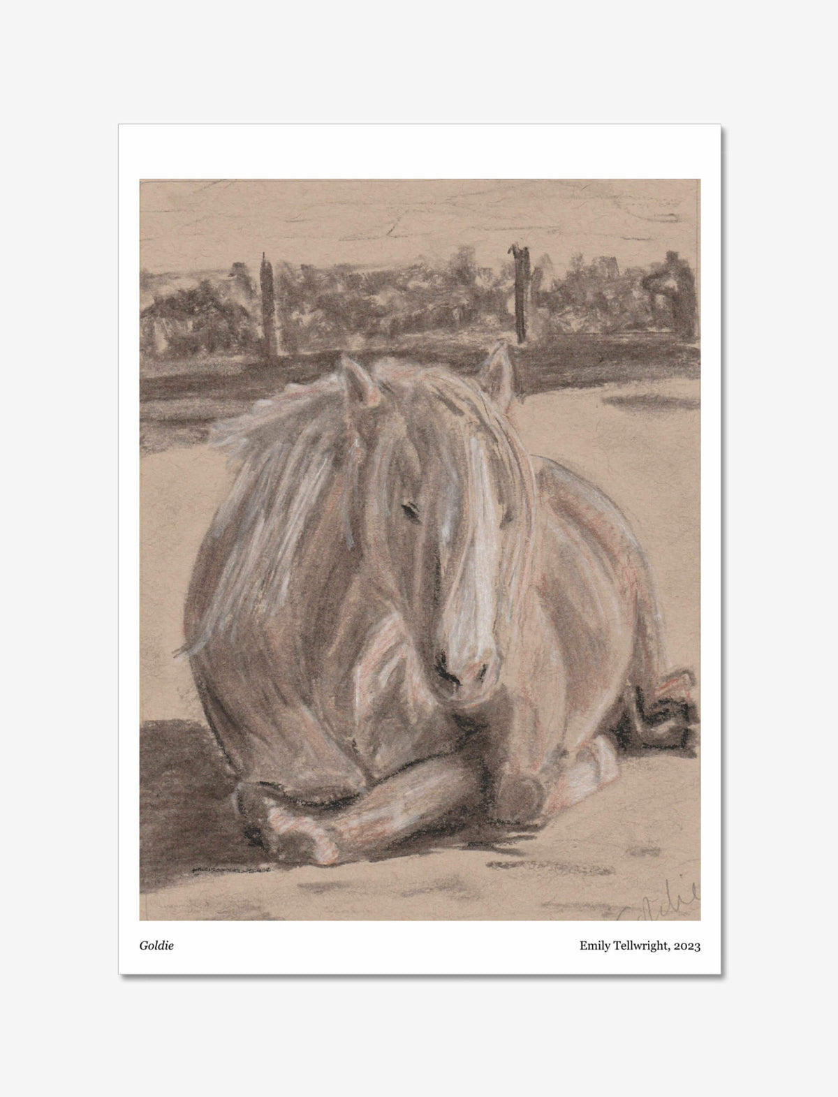 Goldie the Palomino Art Print: a Charcoal, chalk and sienna picture of a pony.