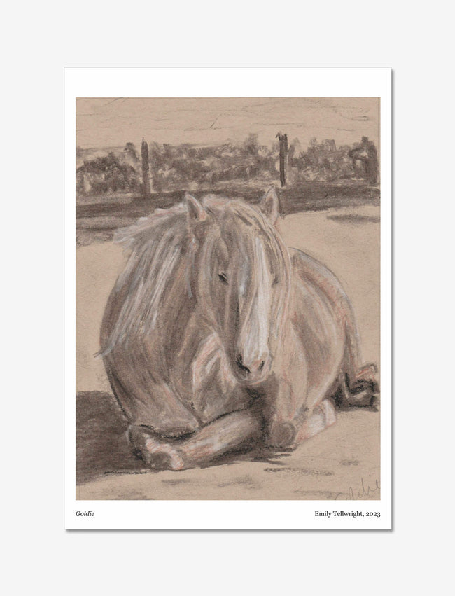 Goldie the Palomino Art Print: a Charcoal, chalk and sienna picture of a pony.