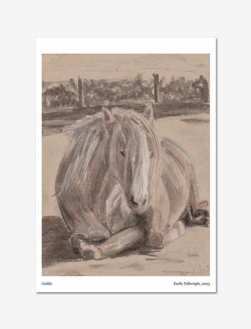 Goldie the Palomino Art Print: a Charcoal, chalk and sienna picture of a pony.