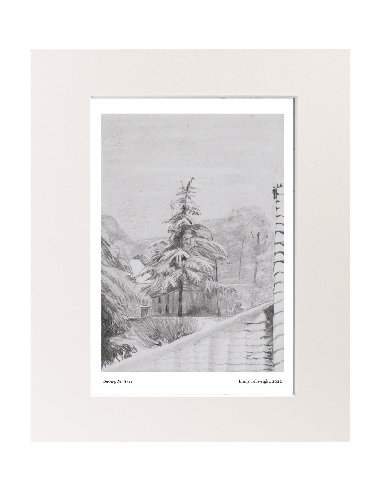 Snowy Fir Tree Mounted Art Print
