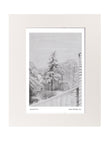 Snowy Fir Tree Mounted Art Print