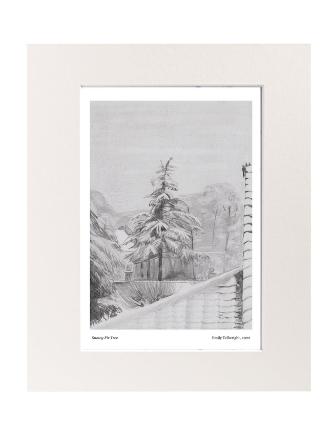 Snowy Fir Tree Mounted Art Print