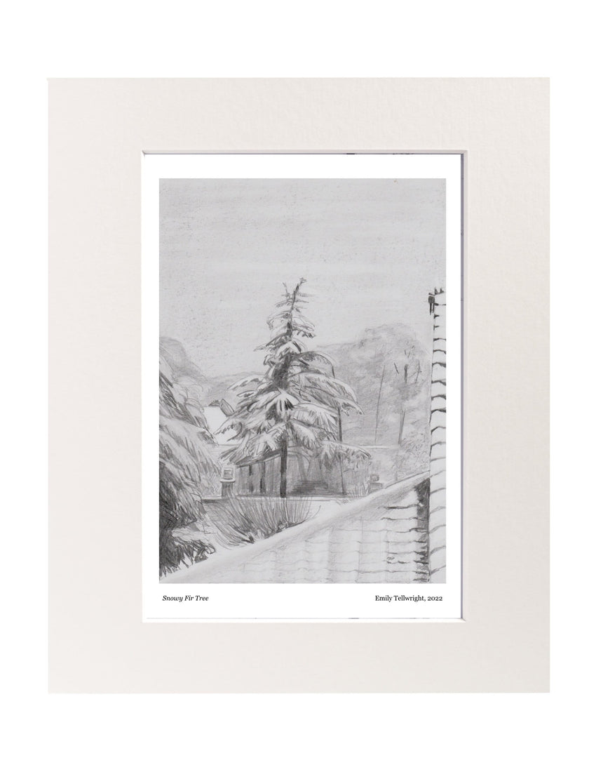 Snowy Fir Tree Mounted Art Print