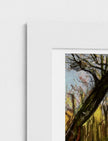 Winter Woodland Mounted Art Print, 14