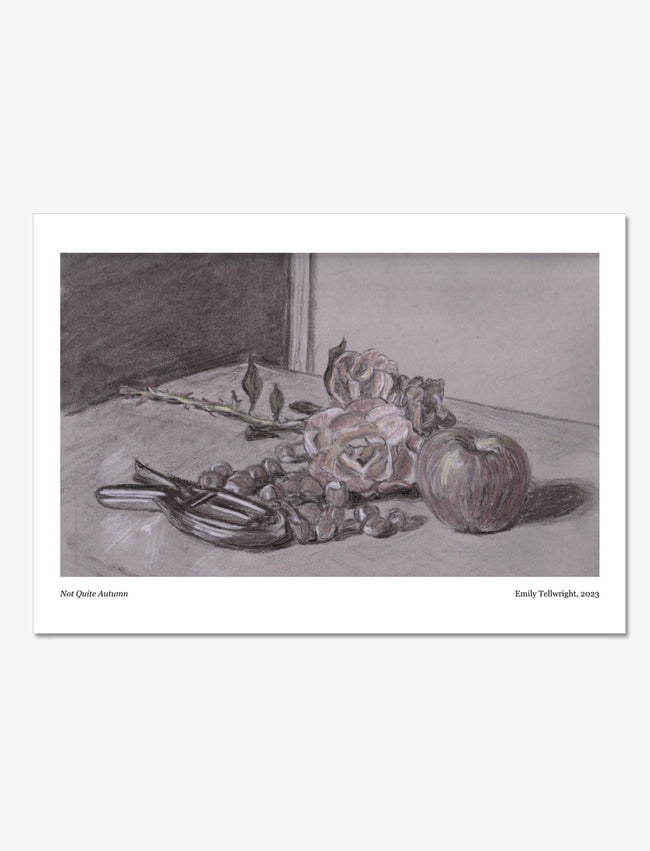 Not Quite Autumn Art Print: a Charcoal, chalk and coloured pencil drawing of roses, an apple, nuts and a nutcracker.