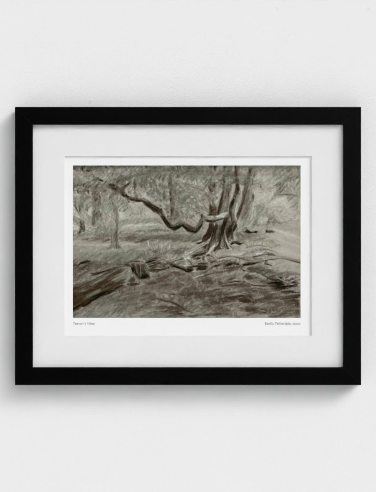 Turner's View Framed Art Print