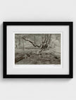 Turner's View Framed Art Print