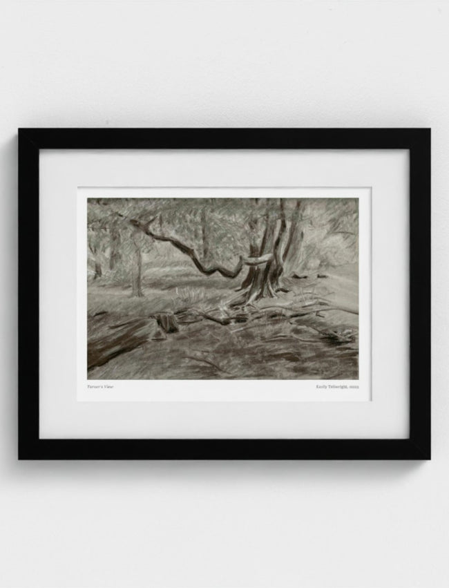 Turner's View Framed Art Print