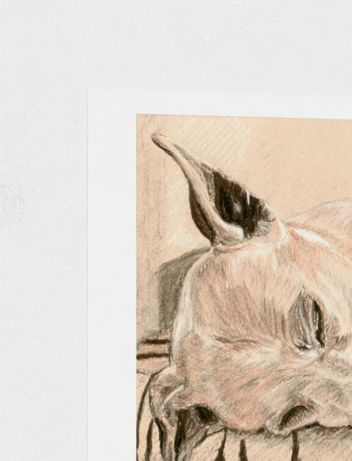 Chance the Staffordshire Bull Terrier Art Print