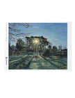 Winter Sun Through Trees Jigsaw, 1000 pieces