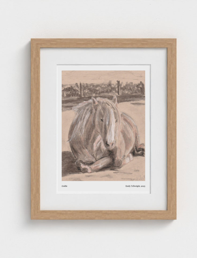 Goldie the Palomino Framed Art Print