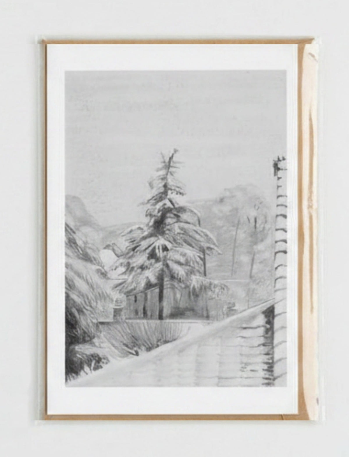 Snowy Fir Tree Greetings card