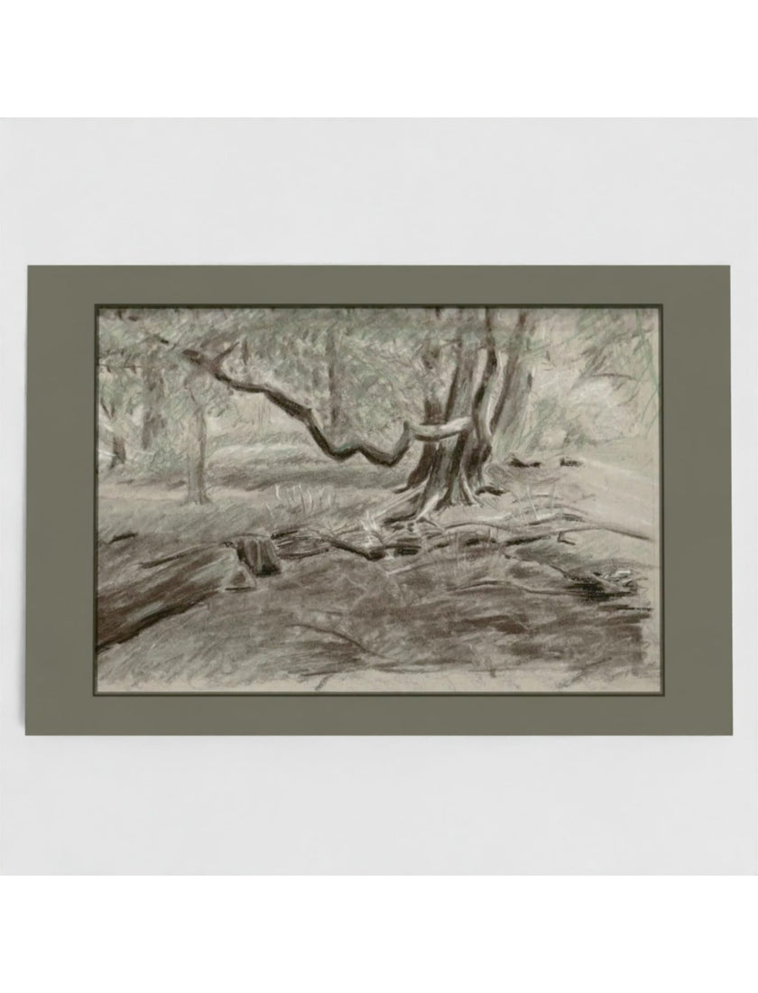 Turners View Greetings Card