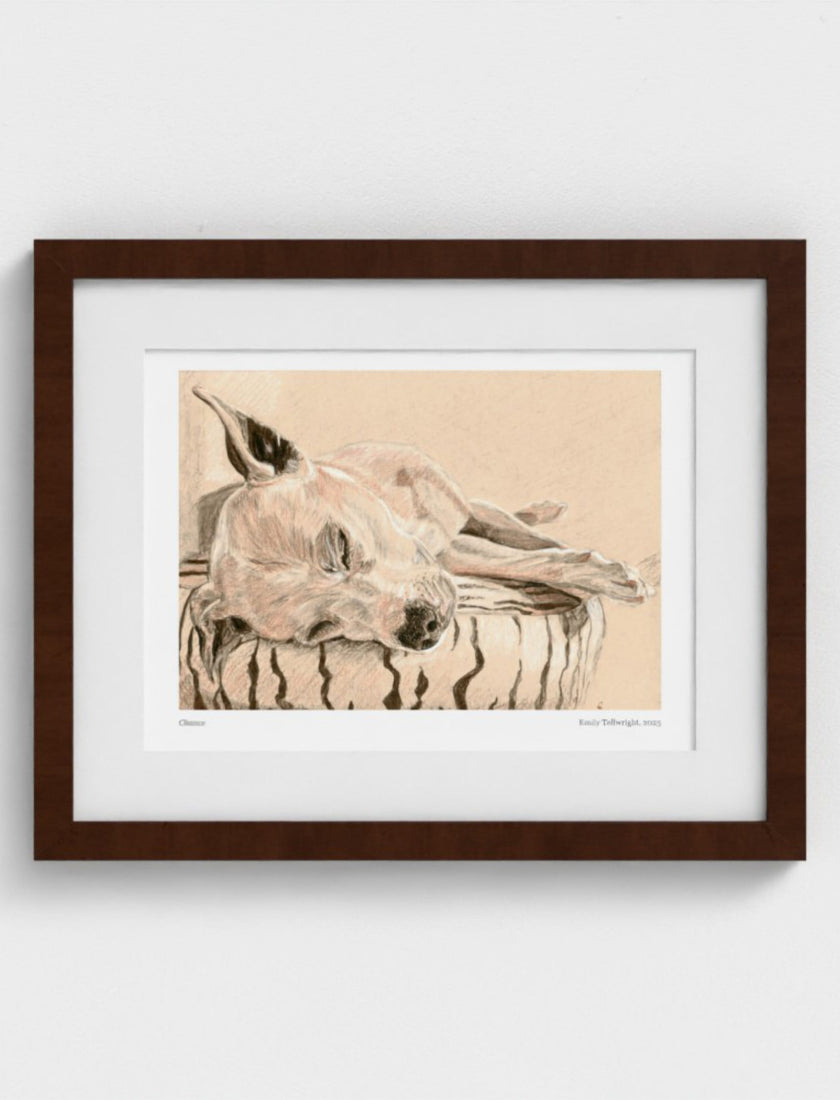 Chance the Staffordshire Bull Terrier Framed Art Print