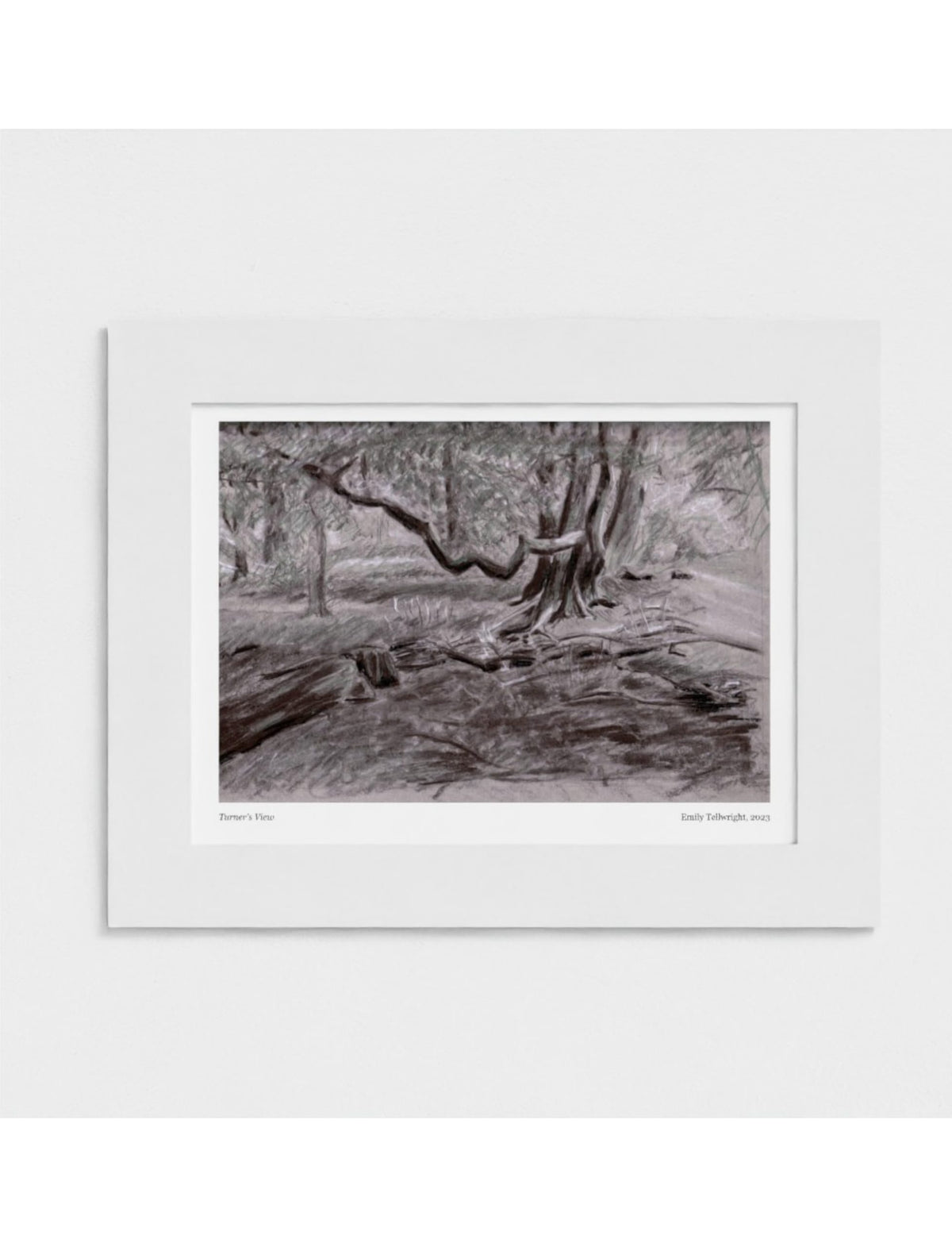 Turner's View Mounted Art Print