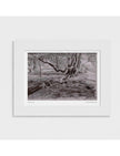 Turner's View Mounted Art Print