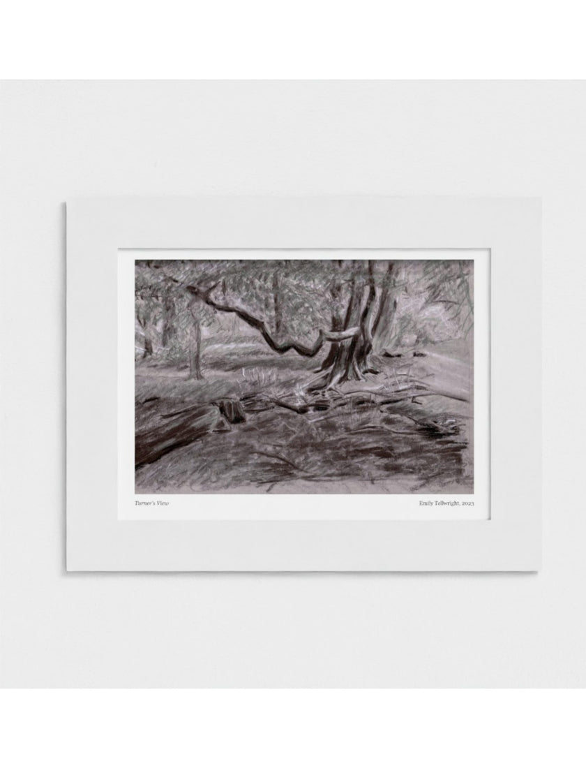 Turner's View Mounted Art Print