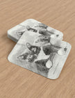 Edith the Cat playing cards showing. pencil drawing by Emily Tellwright