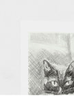 Edith the Cat Art Print