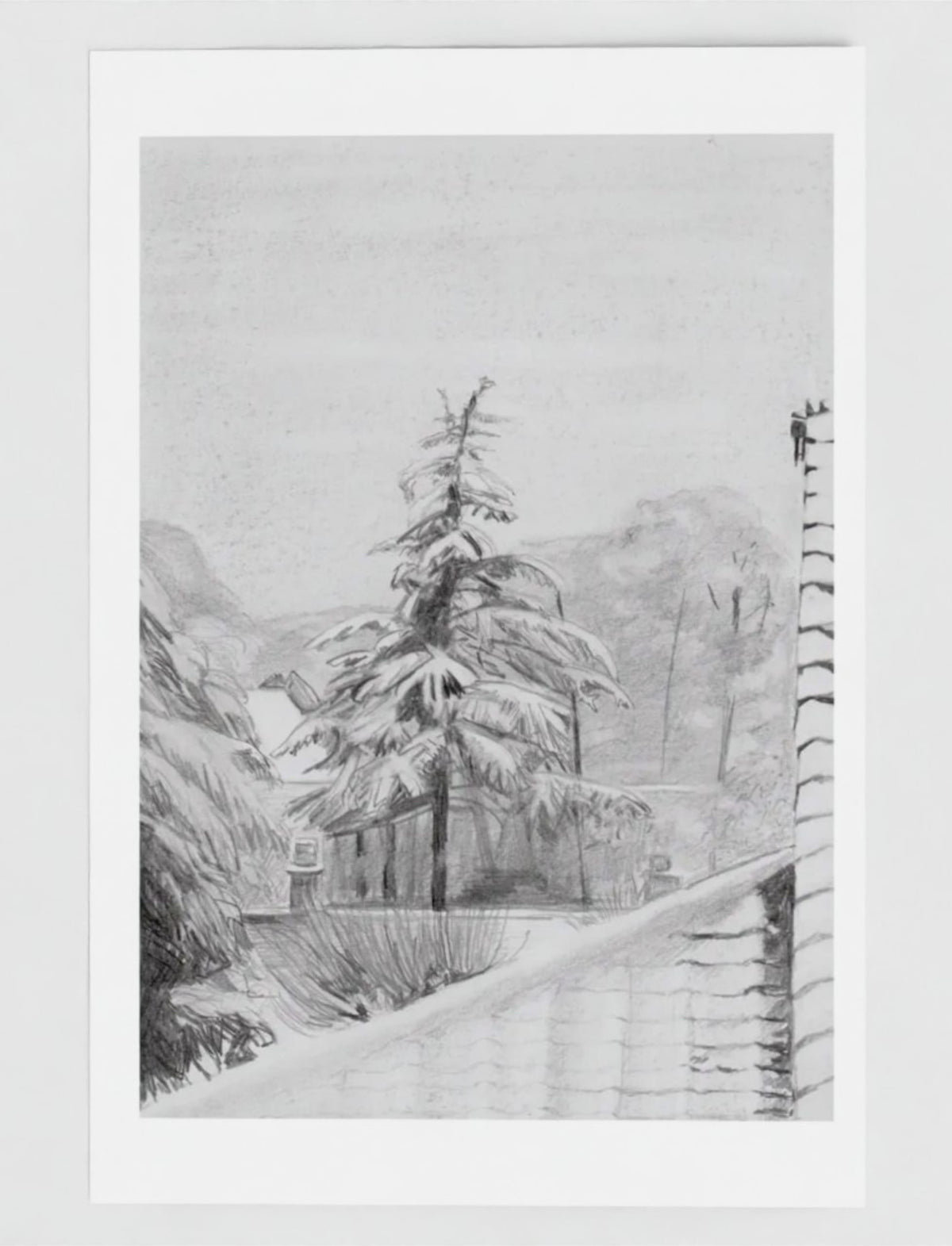 Snowy fir Tree Greetings Card