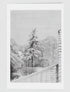 Snowy fir Tree Greetings Card