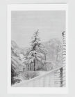 Snowy fir Tree Greetings Card