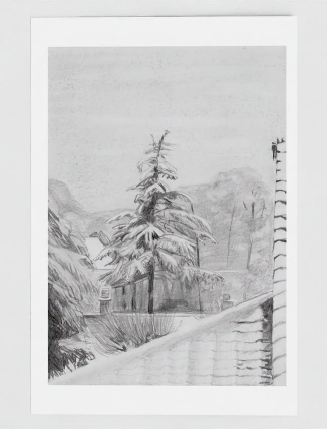 Snowy fir Tree Greetings Card