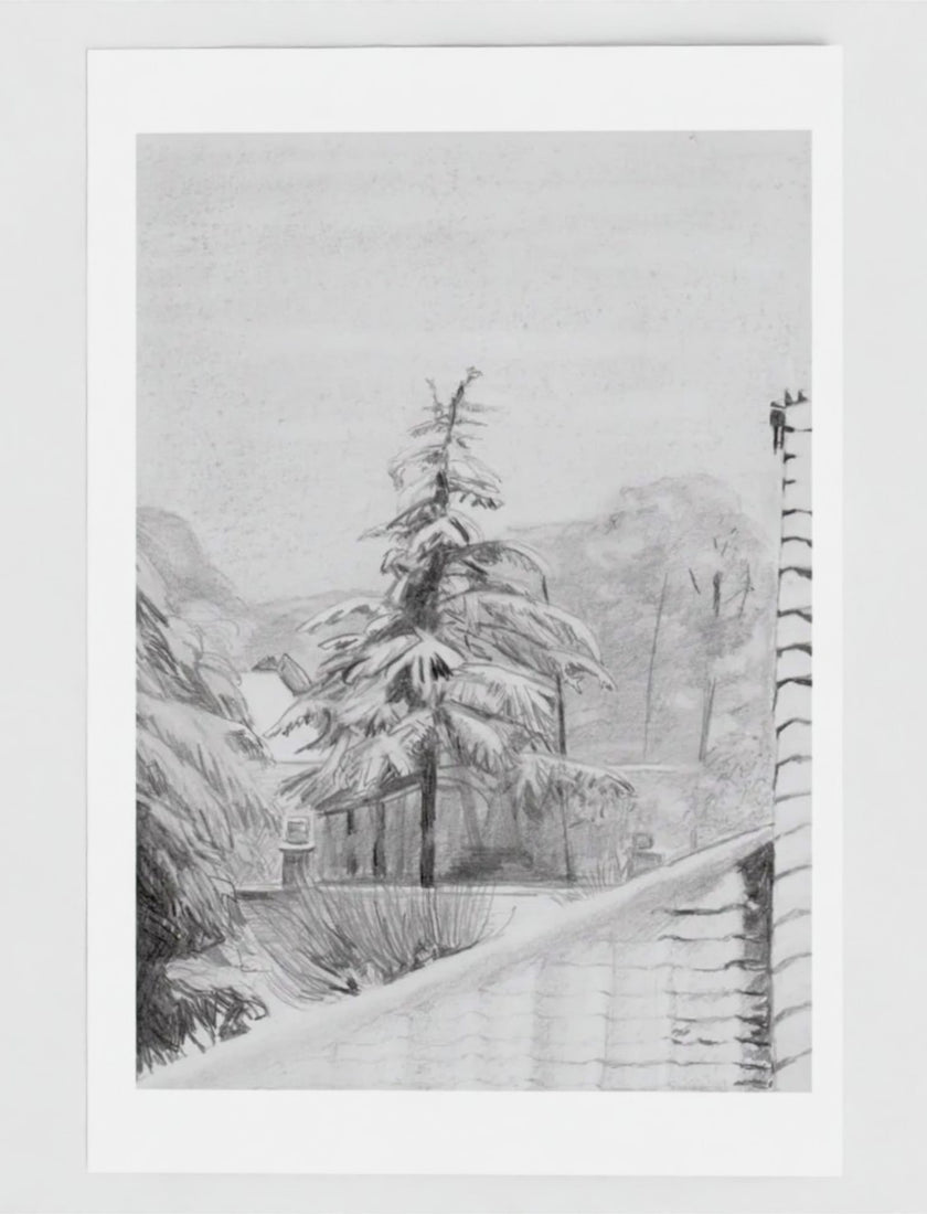 Snowy fir Tree Greetings Card