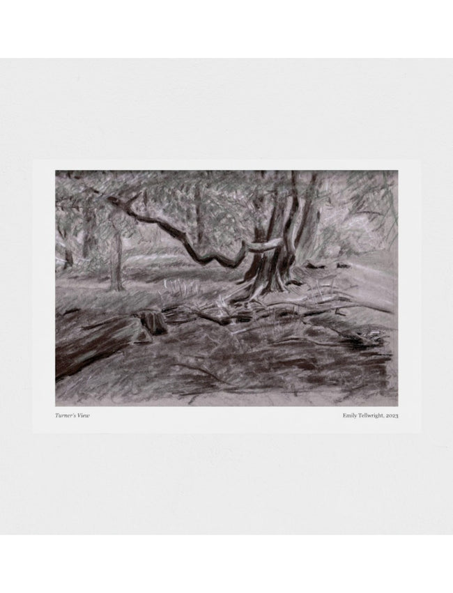 Turner's View Art Print