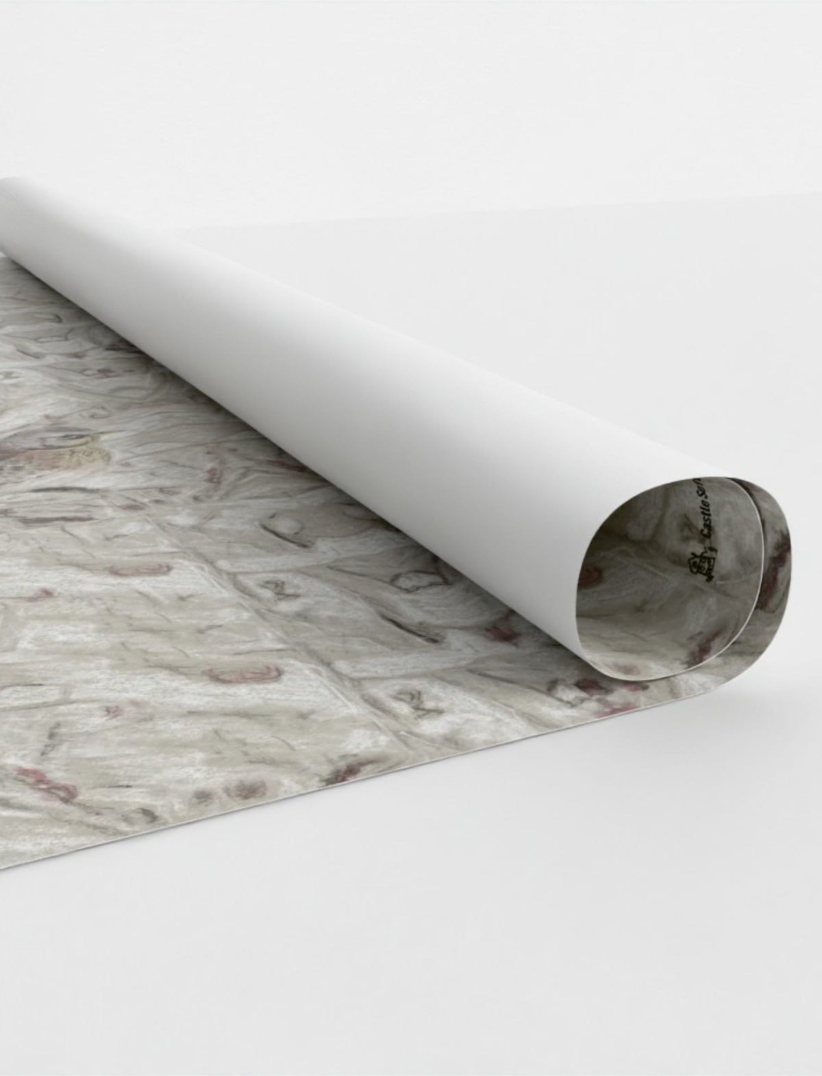 Winter Bird Wrapping Paper