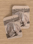 Goldie the Palomino playing cards showing a charcoal drawing by emily TEllwright