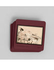 Chance the Staffordshire Bull Terrier Coasters showing a drawing by Emily Tellwright