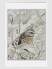 Winter Bird Christmas Card
