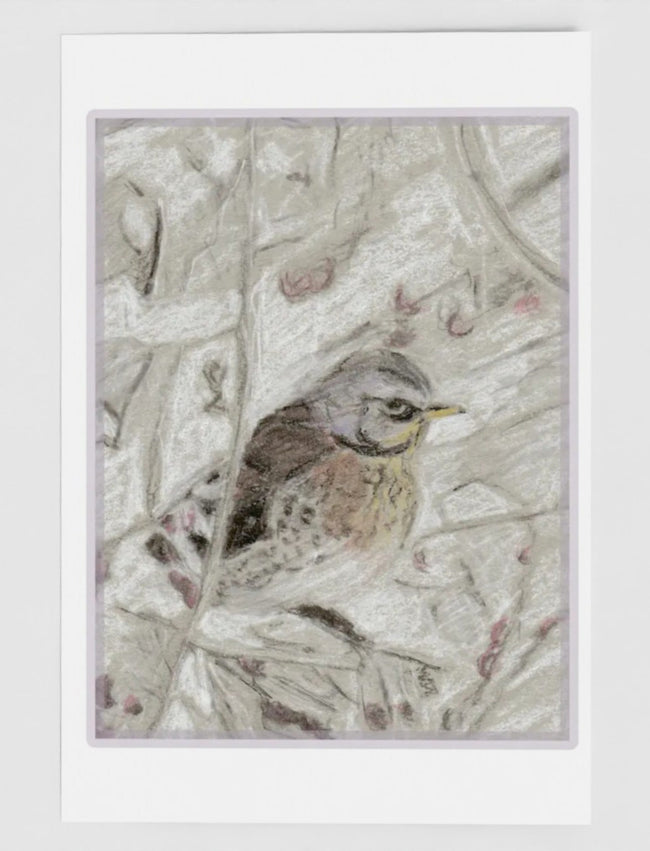 Winter Bird Christmas Card