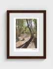 Path After Lines Framed Art Print