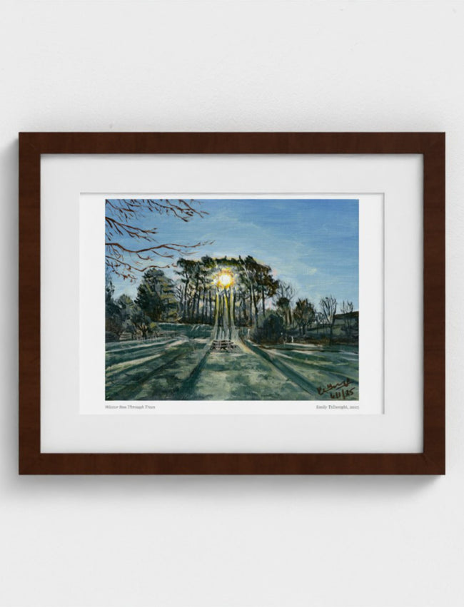 Winter Sun Through Trees Framed Art Print