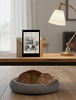 Edith the Cat greetings Card on a table above a cat asleep