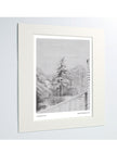 A matted art print featuring a pencil drawing of a fir tree in snow displayed against a light gray background.