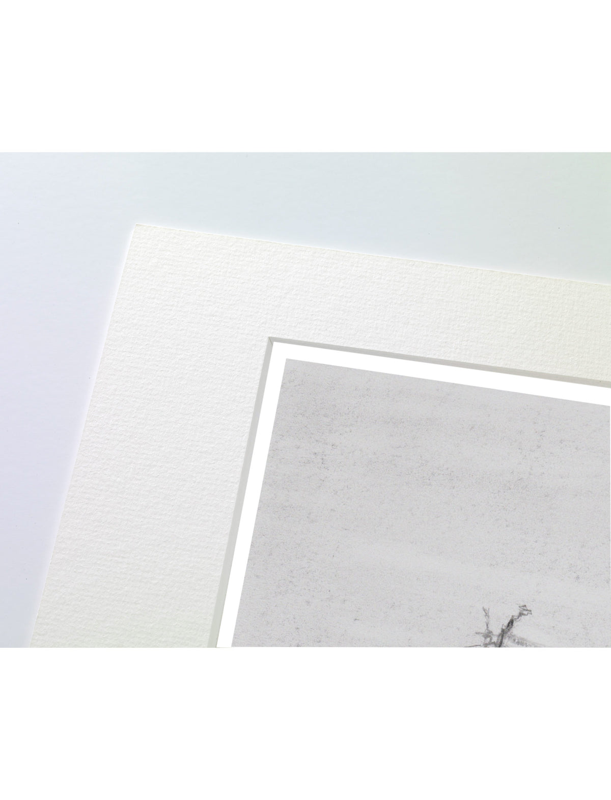 A close-up of a matted art print showing part of a pencil drawing on textured paper, with a white mat border and a pale blue-gray background.