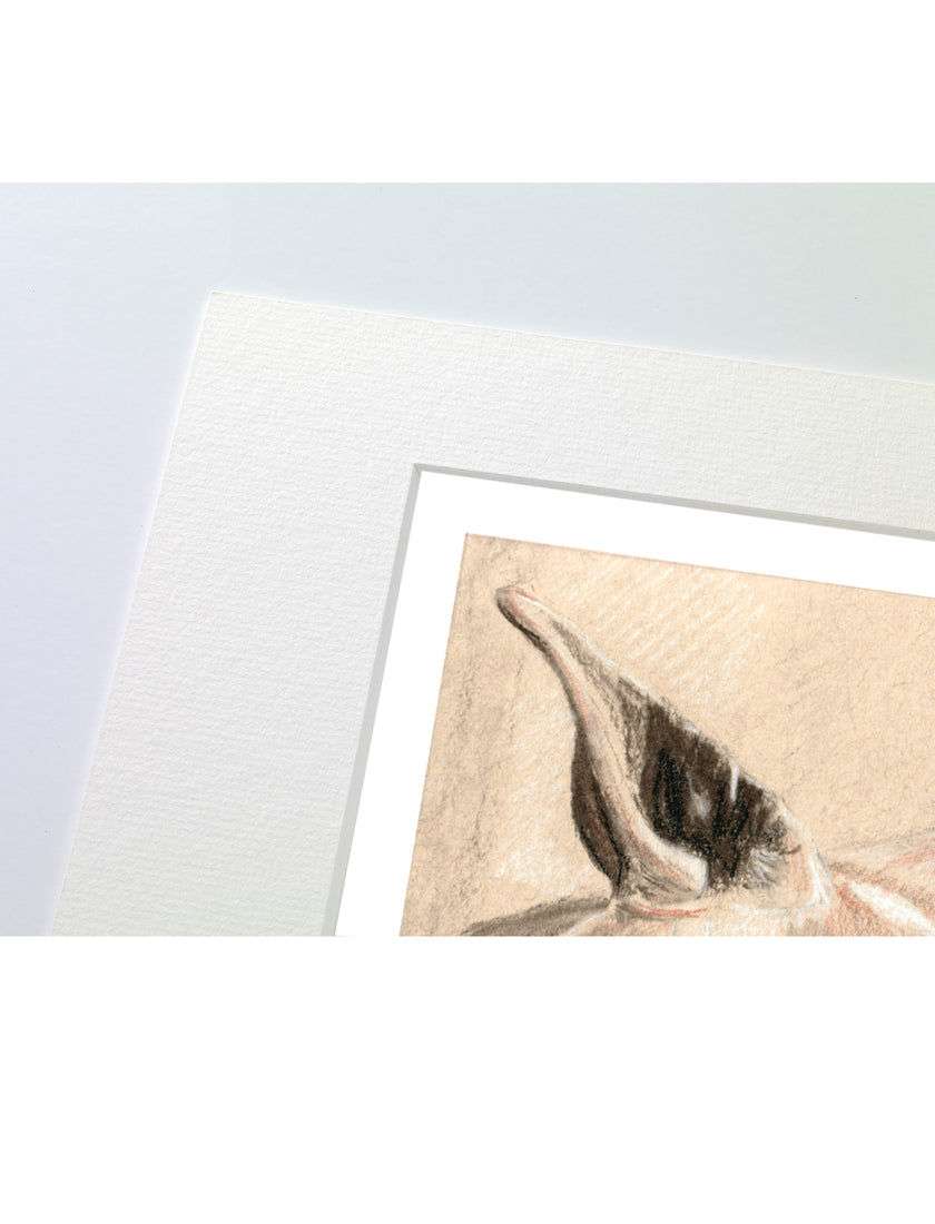 A close-up of a matted art print showing part of a drawing on textured paper, with a white mat border and a pale blue-grey background.