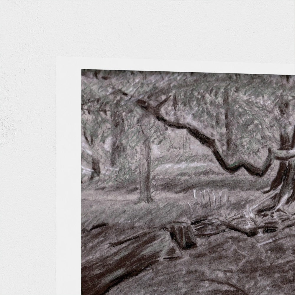 A close-up of a monochrome artwork showing a sketch-like forest scene with tree trunks, branches, and textured foliage in gray, black, and white tones, mounted against a white wall.
