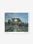 Winter Sun Through trees art print: an acrylic painting of sun shining through pine trees