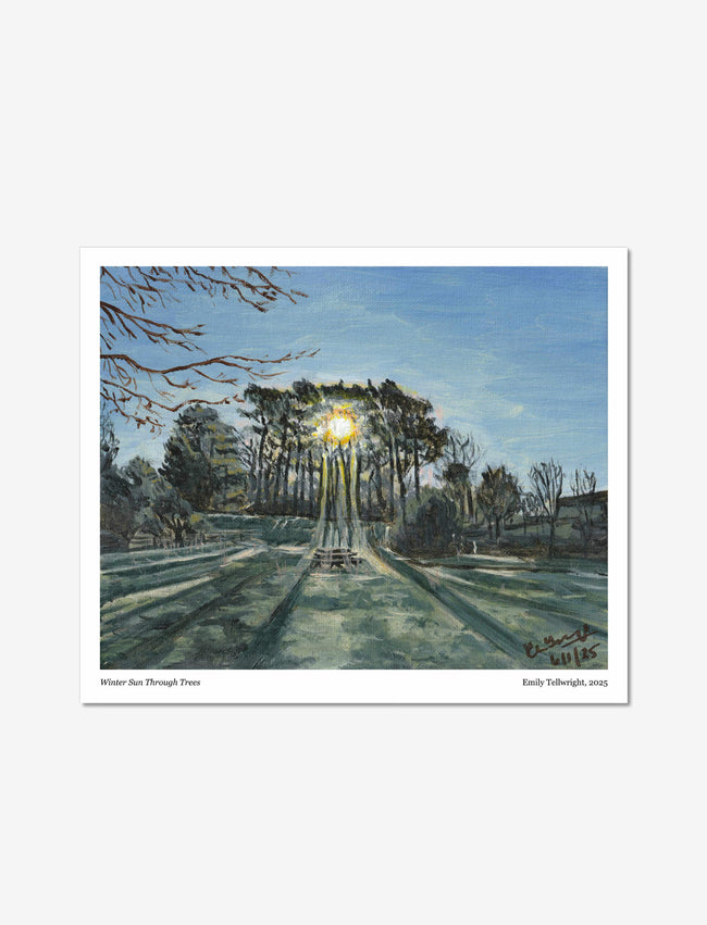 Winter Sun Through trees art print: an acrylic painting of sun shining through pine trees